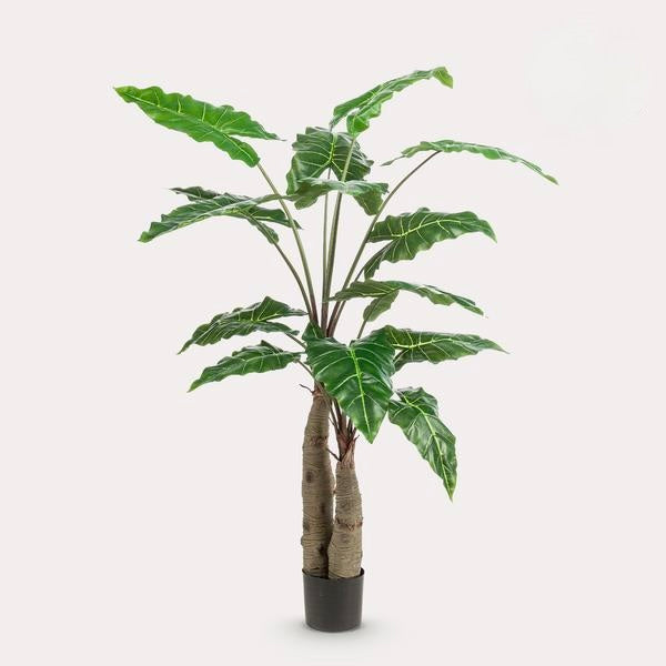 Kunstplant - Alocasia - Olifantsoor - 150 cm