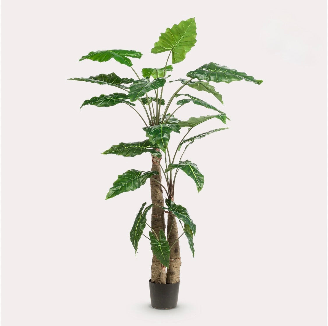 Kunstplant - Alocasia - Olifantsoor - 180 cm