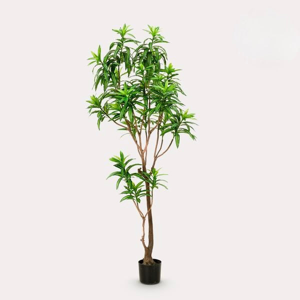 Kunstplant - Dracaena - Drakenboom - 190 cm