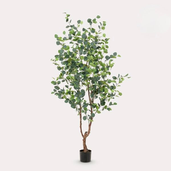 Kunstplant - Eucalyptus - Blauwe Gomboom  - 180 cm