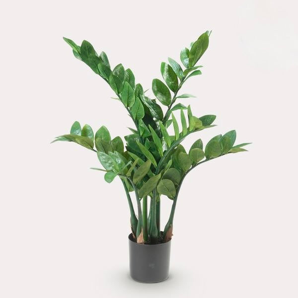 Kunstplant - Zamioculcas - Kamerpalm - 70 cm