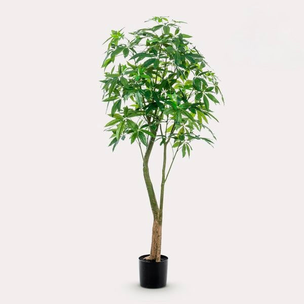 Kunstplant - Pachira Aquatica - Geldboom - 180 cm