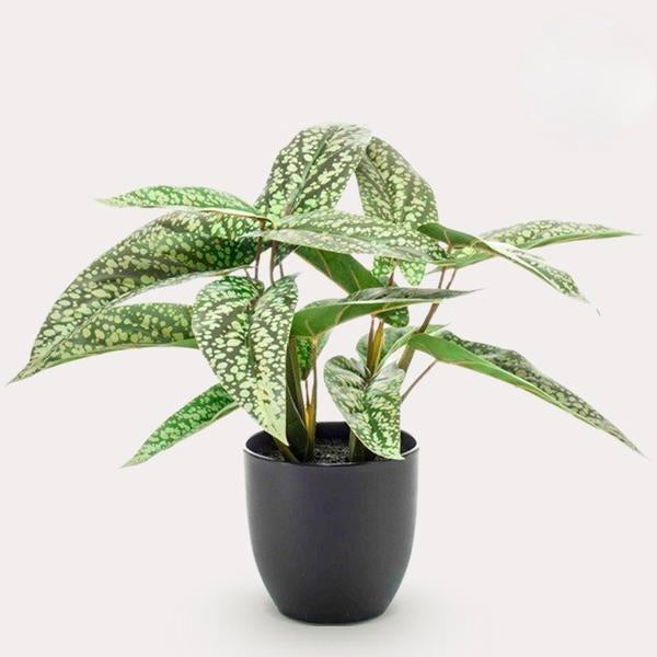 Kunstplant - Calathea Dots - Schaduwplant - 38 cm