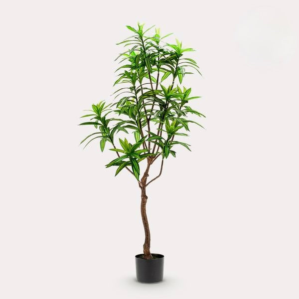 Kunstplant - Dracaena - Drakenboom - 130 cm