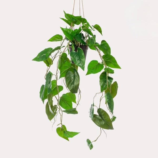 Kunstplant - Philodendron scandens - Klimmende Boomliefhebber - 80 cm