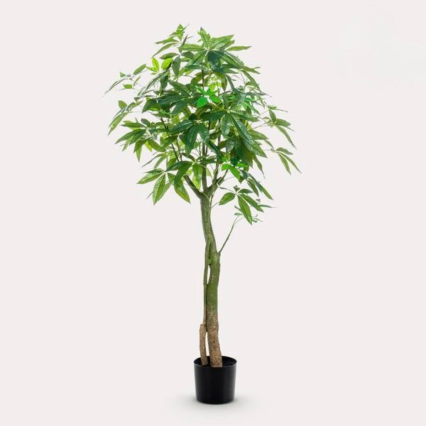 Kunstplant - Pachira Aquatica - Geldboom - 150 cm