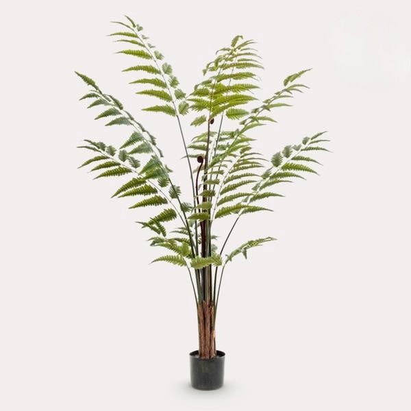 Kunstplant - Rumohra Adiantiformis - Ledervaren - 150 cm