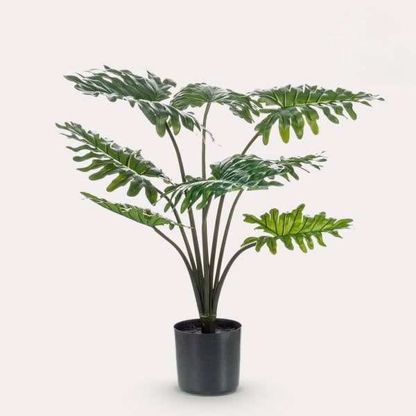 Kunstplant - Philodendron - 70 cm