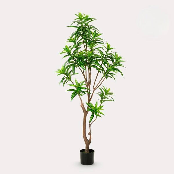 Kunstplant - Dracaena - Drakenboom - 155 cm