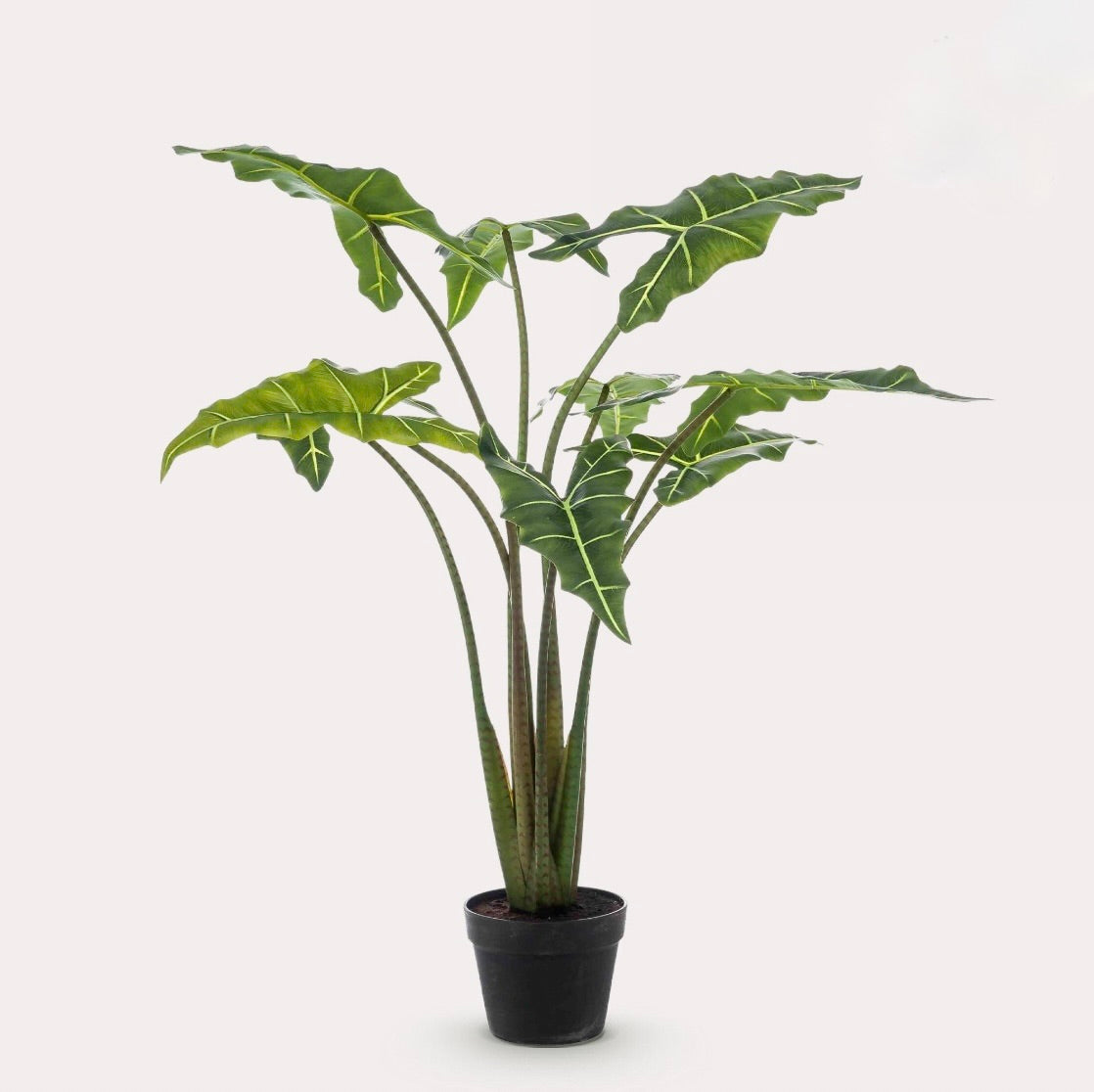 Kunstplant - Alocasia Frydek - Olifantsoor - 100 cm