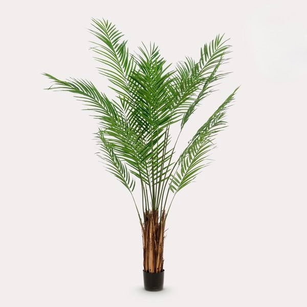 Kunstplant - Areca Lutescens - Goudpalm - 180 cm