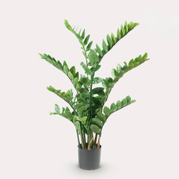 Kunstplant - Zamioculcas - Kamerpalm - 110 cm