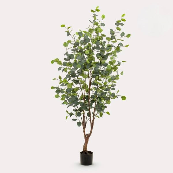 Kunstplant - Eucalyptus - Blauwe Gomboom  - 140 cm