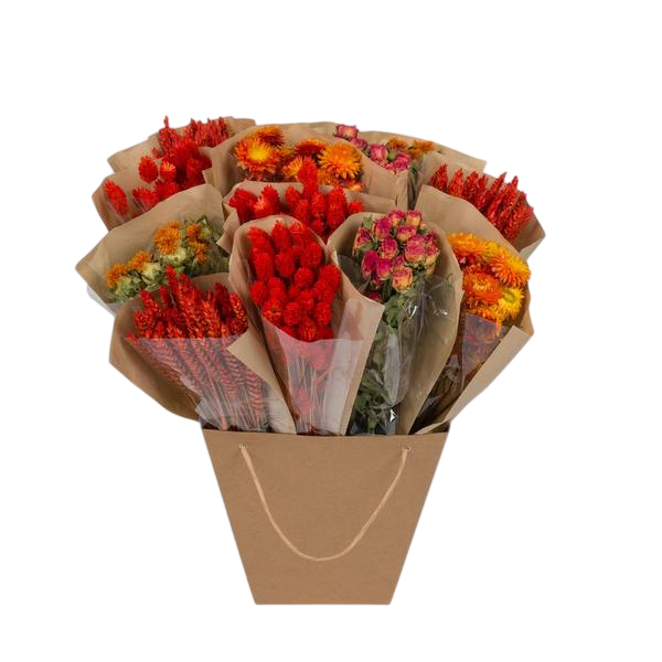 Droogbloemen - Dried Mono Mix - Orange - ↕50cm