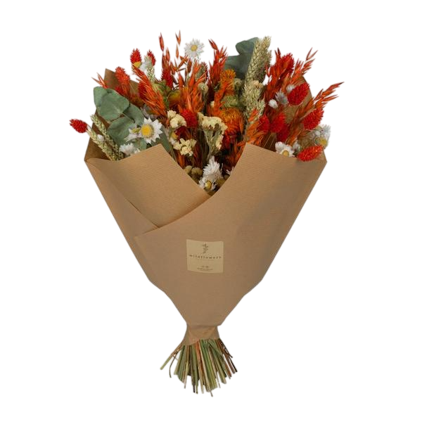 Droogbloemen - Classic Bouquet - Orange - 4 boeketten - ↕60cm