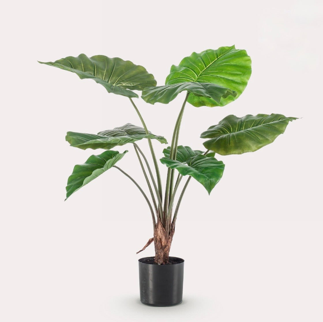 Kunstplant - Alocasia - Olifantsoor - 70 cm