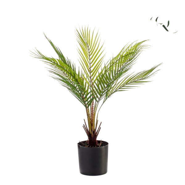 Kunstplant - Chamaedorea - Bergpalm - 50 cm