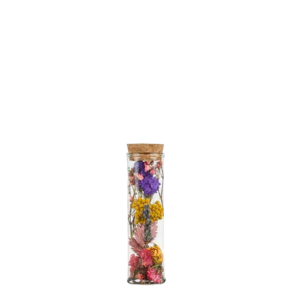 Droogbloemen - Wish Bottle Small - Multi - 12 stuks - ↕10cm