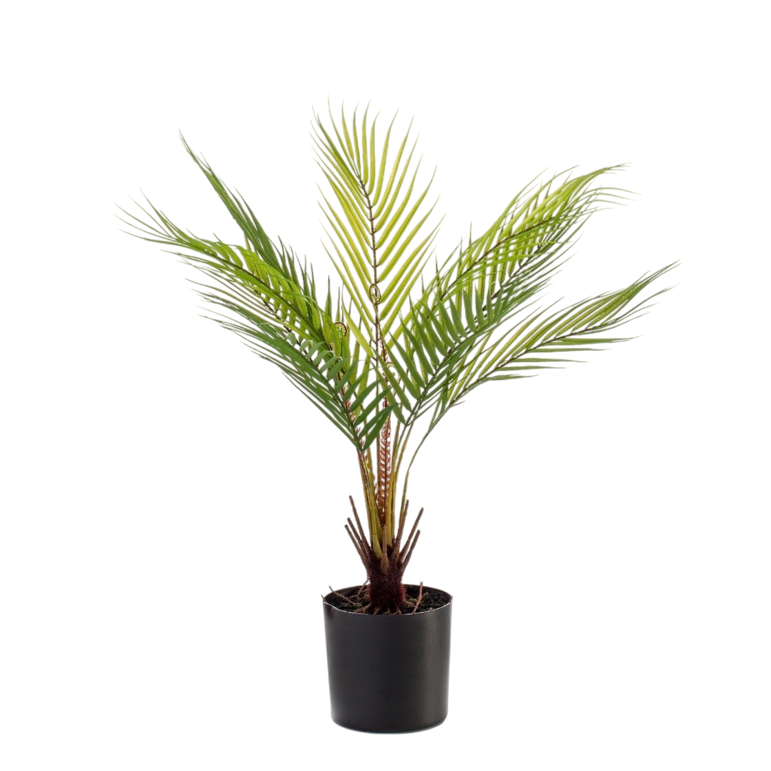 Kunstplant - Chamaedorea - Bergpalm - 50 cm