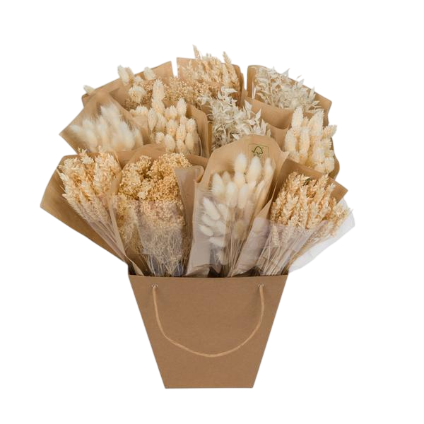 Droogbloemen - Dried Mono Mix - White - ↕50cm