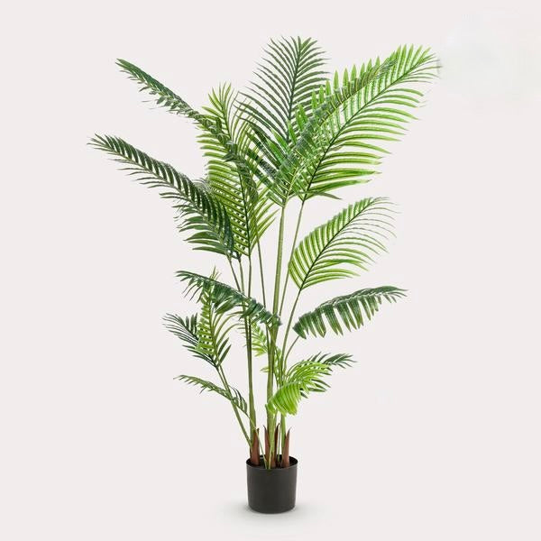 Kunstplant - Howea Forsteriana  - 160 cm