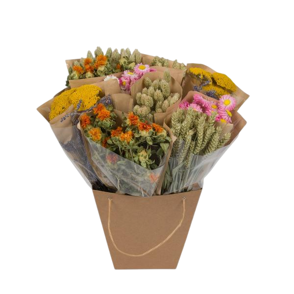 Droogbloemen - Dried Mono Mix - Dutch - ↕50cm