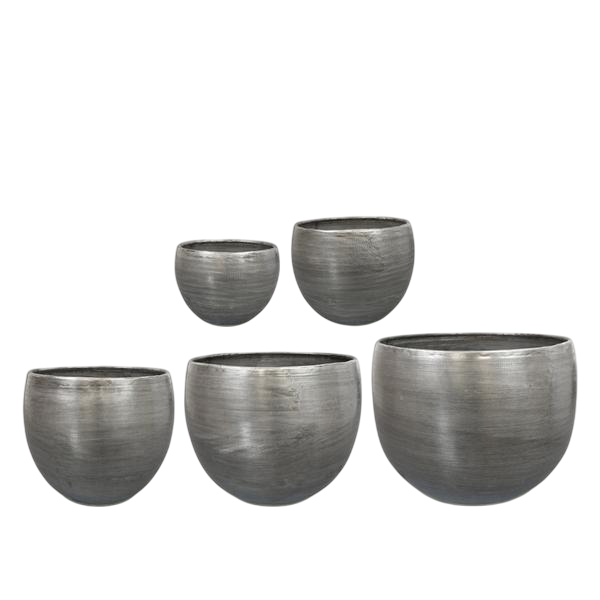 Elowen (zilver) - Set van 5