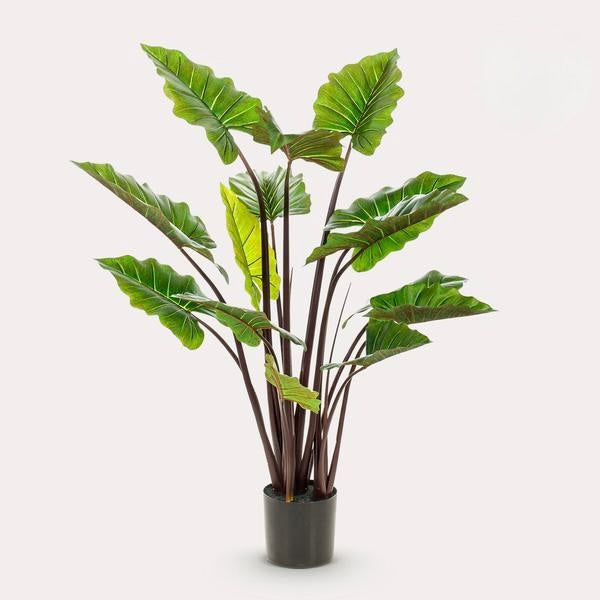 Kunstplant - Colocasia Pink China - Olifantsoor - 130 cm