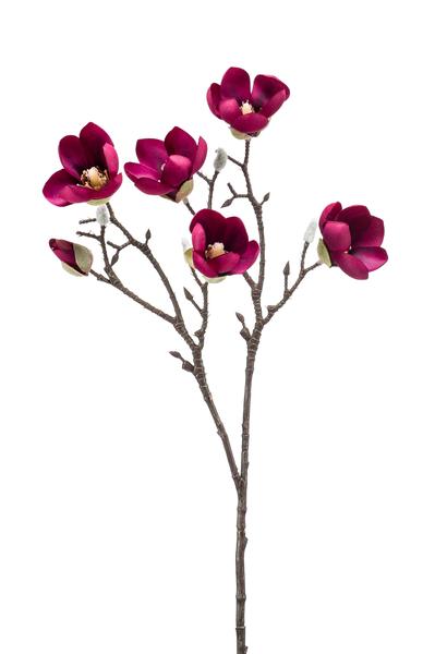 Boeket 'Magnifieke magnolia' -65cm