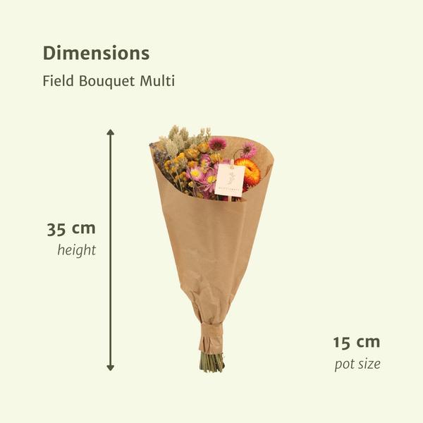 12x Field Bouquet Multi - Droogboeket - 35cm - ¯15