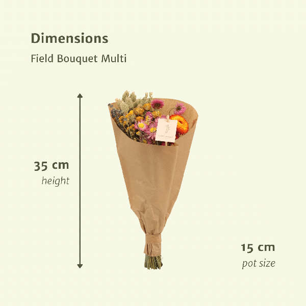 Droogbloemen Field Bouquet Multi - Ø15cm - ↕35cm