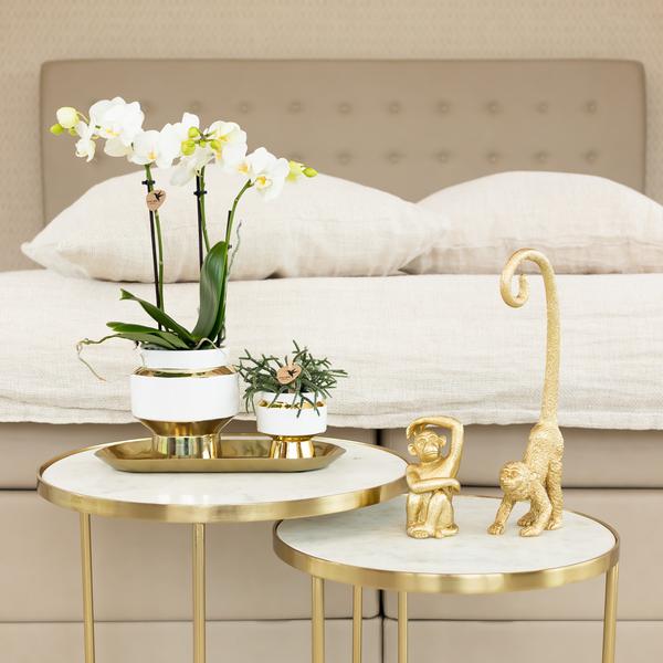 Ornament - Decoratie beeld Sitting Monkey - Gold