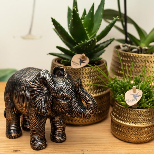 Ornament - Decoratie beeld Elephant - Black