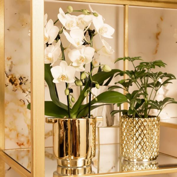 Metallic diamond bloempot - Gouden keramieken sierpot ¯9cm