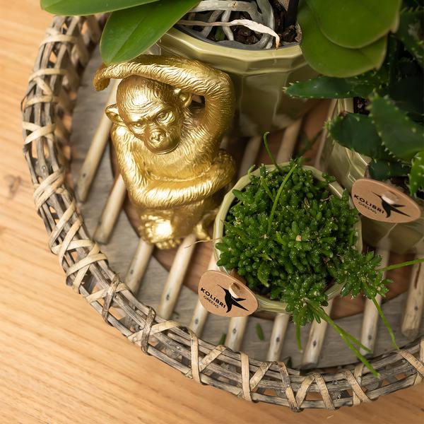 Ornament - Decoratie beeld Sitting Monkey - Gold