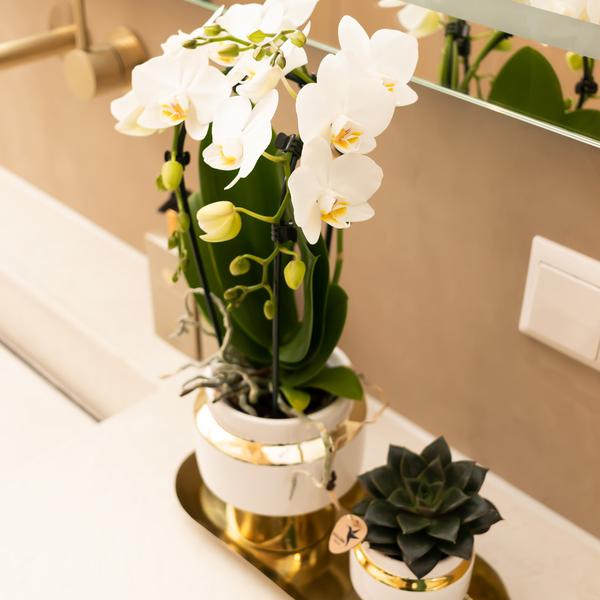 Le Chic bloempot - Witte keramieken sierpot met gouden details - ¯6cm