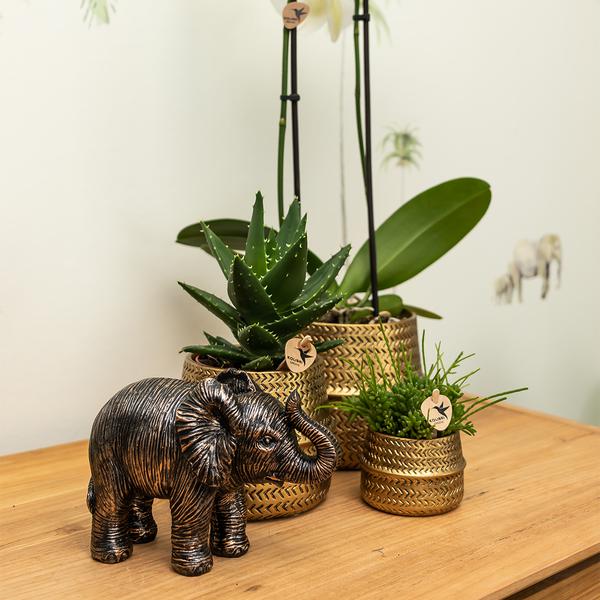 Ornament - Decoratie beeld Elephant - Black