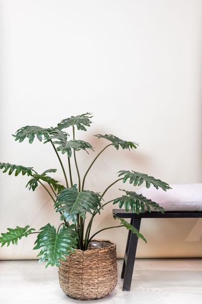 Kunstplant - Philodendron - 85 cm