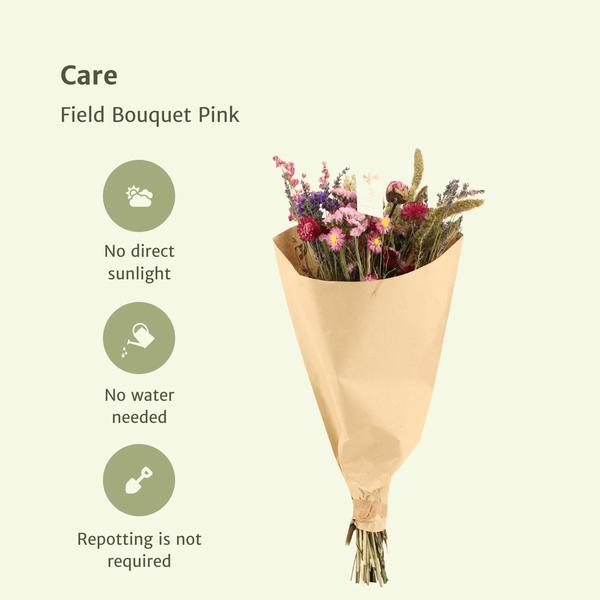 10xField Bouquet Pink - Droogboeket - 50cm - ¯20