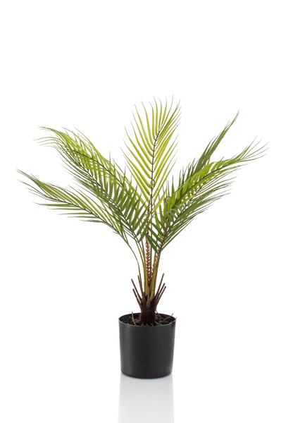 Kunstplant - Chamaedorea - Bergpalm - 50 cm