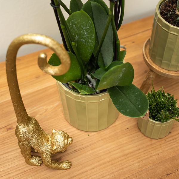 Ornament - Decoratie beeld Monkey long tail - Gold